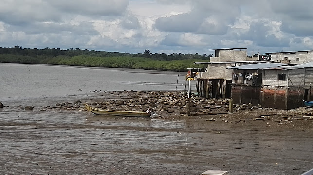 VENTA DE CONCHA al por mayor - Gastronomía y hostelería