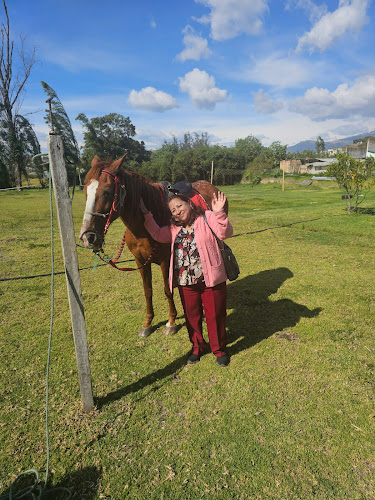 Opinii despre San Marko's Quinta Recreacional în Ibarra - Gastronomía y hostelería