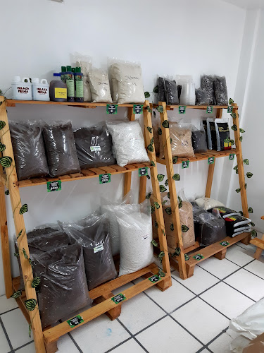 Opinii despre CANNA-GROUND în Santo Domingo - Gastronomía y hostelería