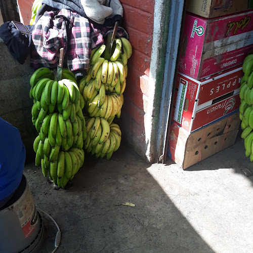 Frutería FRU-052 - Gastronomía y hostelería