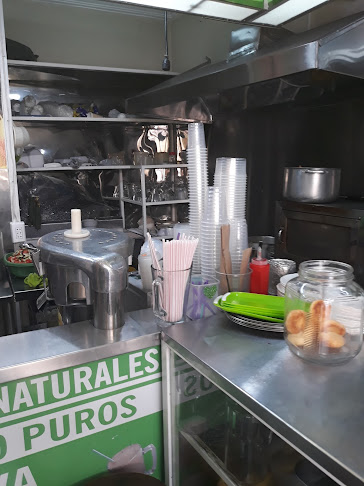 El Nuevo Paraíso - Cuenca