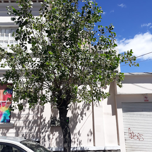 El Pollo De Oro - Quito