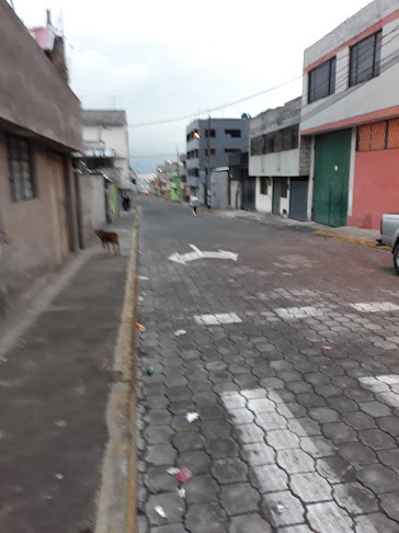 Pizzhelados - Gastronomía y hostelería