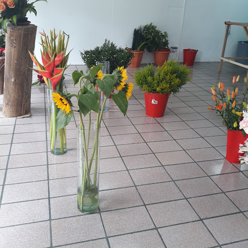 Mariano Aguilera E7 69, Quito 170518