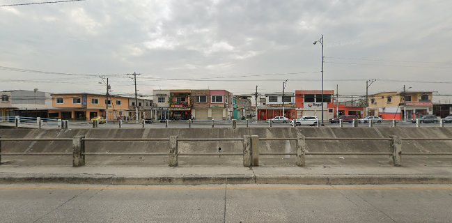 Greenberry Mucho Lote 1