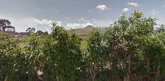 Restaurante La Súper Corvina - Aloasi