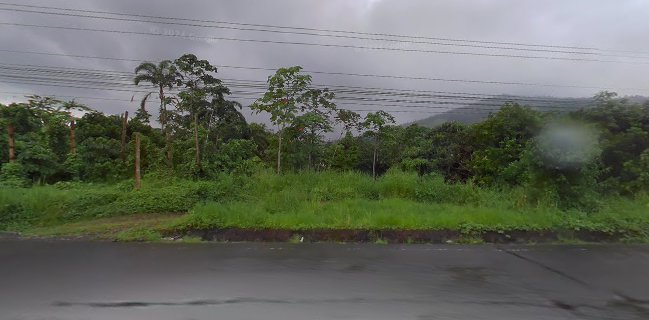 Asadero La Viande GRILL