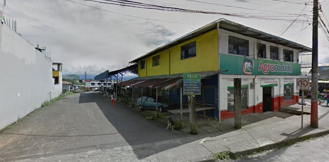 Mercado Puyo Sector Amazonico