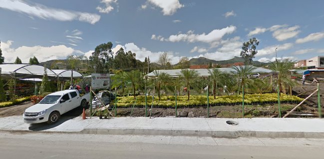 PANADERIA & PASTELERIA EL JENGIBRE