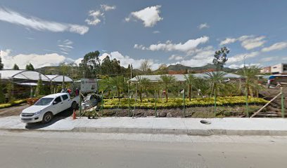 PANADERIA & PASTELERIA EL JENGIBRE