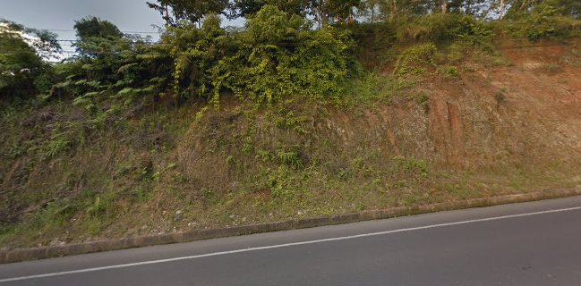 Marisqueria Marea roja