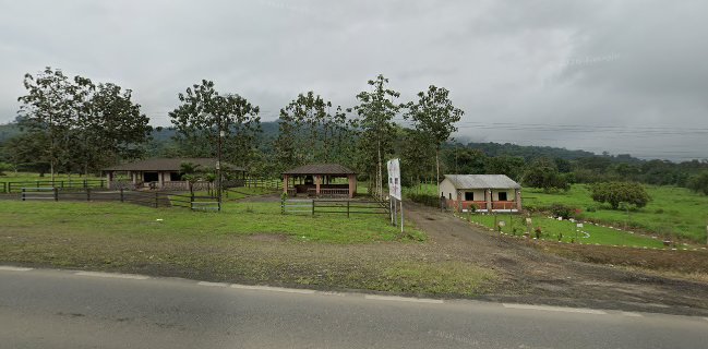 Mundo Lacteo (Paul Olsen)