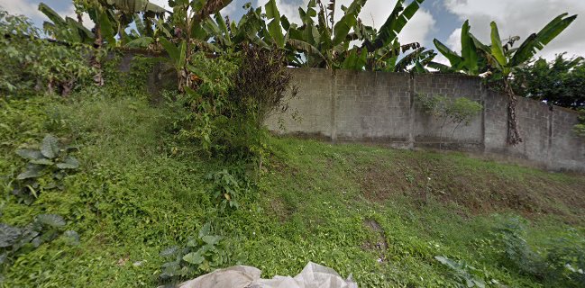 Patas Arriba El Cangrejal - El Carmen