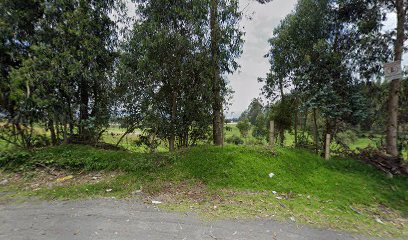 Bar-Discoteca "Destroyer"