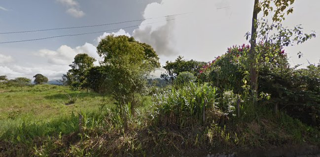 SALOYA FROGS (hospedaje)