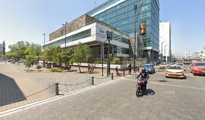 Rosellina by Mercedes Norero