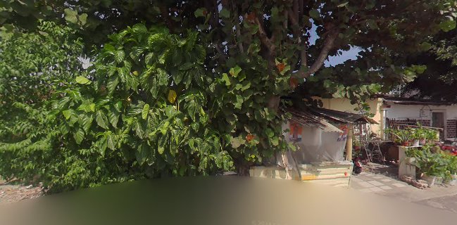 La Sazón de la Mami Olga