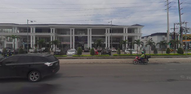 MUNDO CANGREJO La Aurora