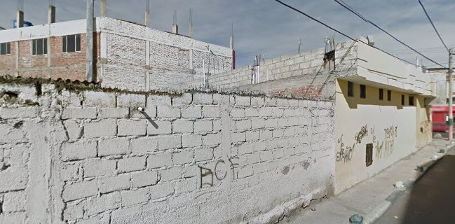 importadores de tragos kelly