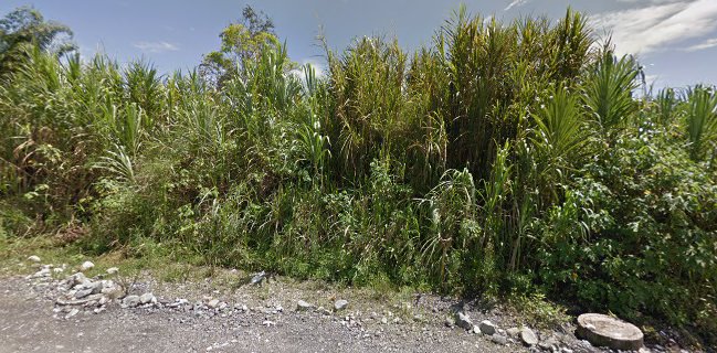 La Colonia Cervecería