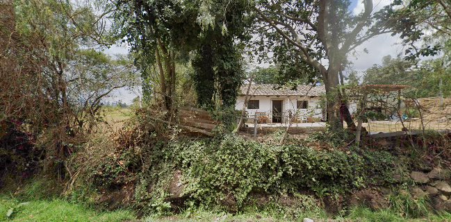 Pan El horno de leña Sra María Sarche