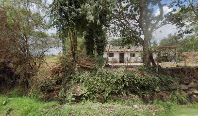 Pan El horno de leña Sra María Sarche