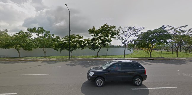 Turkey Frozen Yogurt