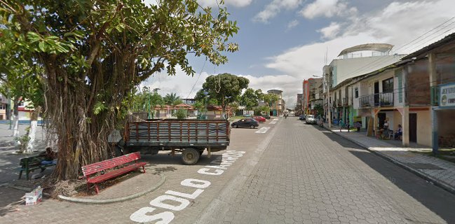 VENTA DE CONCHA al por mayor