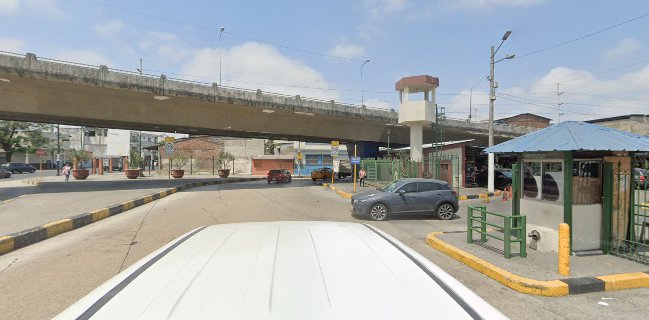 Mercado de las Flores