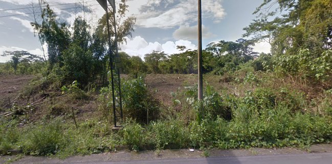 Comidas típicas EL DESNIVEL DEL NEGRO