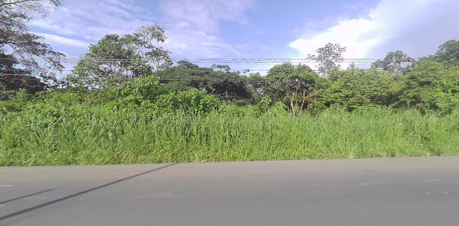 Comedor los Rosales Cascol