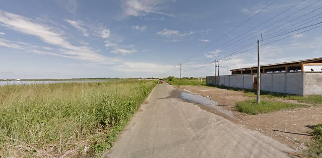 Marisqueria D Britanny's