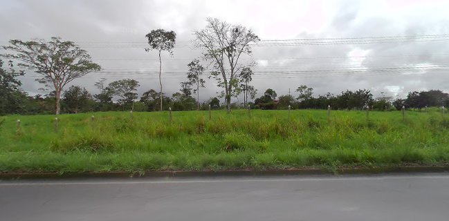 Parrilladas el bosque