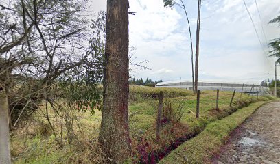 ANDEANROSES CIA LTDA