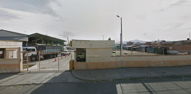 Rosas y flores al por mayor