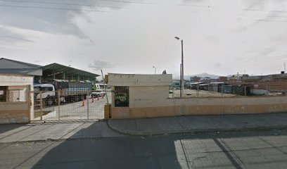 Rosas y flores al por mayor