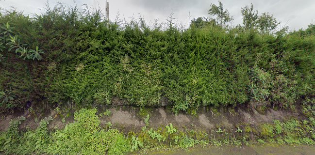 Verde Azul DISCO BAR